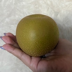 【安売り】1袋5個入り幸水の画像