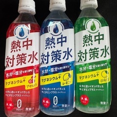 熱中対策水、12本セットの画像