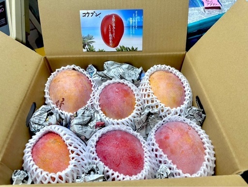 珍しい品種！沖縄県産コウブンマンゴー 家庭用:4キロ 割引 マンゴー（コウブン）4キロ 珍しい品種！沖縄県産コウブン