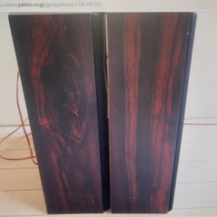DIATONE 軽量スピーカーペア １WAY ダイアトーン 詳細不明 の画像