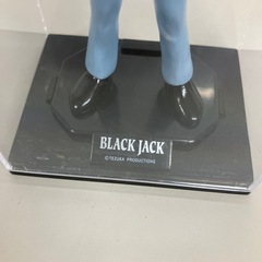 A2508-600 ブラックジャック 中古の画像