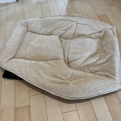 折りたたみキャンピングチェアの画像