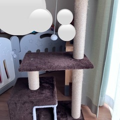 キャットタワー　の画像