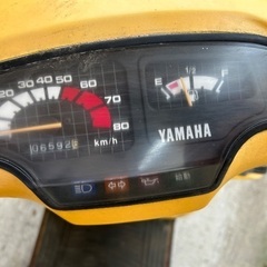 YAMAHA ベルーガ80の画像
