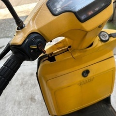 YAMAHA ベルーガ80の画像