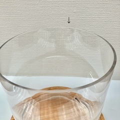 GEX水槽 スタートセットの画像