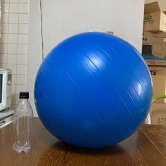 バランスボールの画像