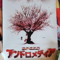 SPEED ポスター５枚の画像