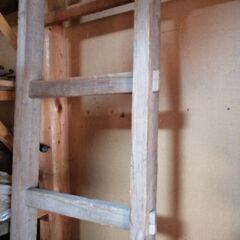 ⑤大工さんが作った木製はしごの画像