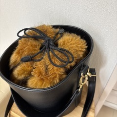 JEANASIS 美品　ショルダーバッグ　ハンドバッグ　バケツバッグの画像