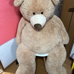 中古品コストコのクマさんぬいぐるみの画像