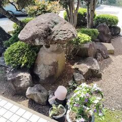 庭石の画像