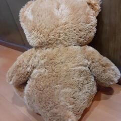 かわいいくまさんぬいぐるみBの画像