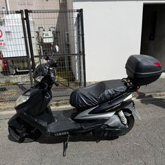 シグナスX 125cc 自賠責保険付きの画像