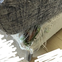 アルモニア ソファ カウチソファの画像