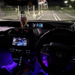 50プリウス前期の画像