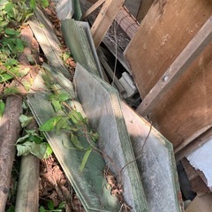 防草シート代わりにいかがでしょう？の画像