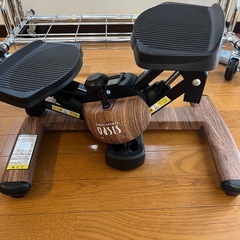 オアシス　ツイストステッパーの画像