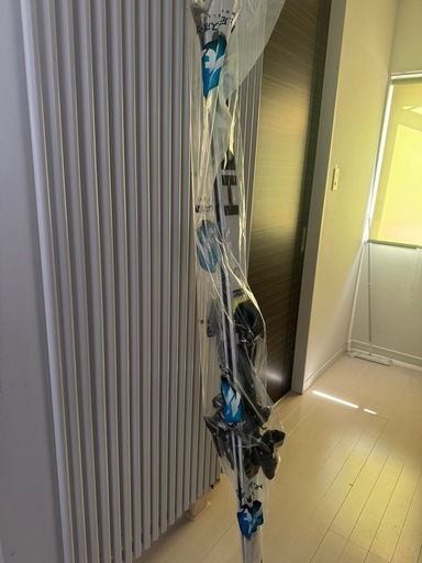 新品アルペンスキーGS head