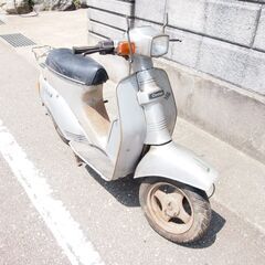 SUZUKI　スズキ　ジェンマ50/Gemma　車実働50cc 原付 富山、石川、金沢の画像