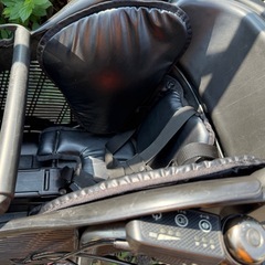 カイホウジャパン電動自転車20インチ バッテリー充電器無しの画像