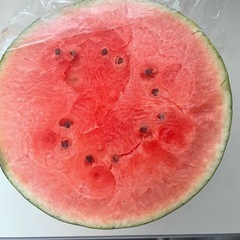 新鮮小玉すいかの画像