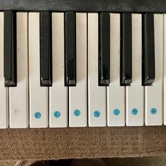 カシオ電子ピアノの画像