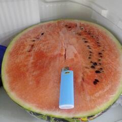 大玉スイカ🍉の画像