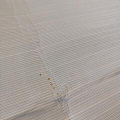ニトリ　接触冷感ラグの画像