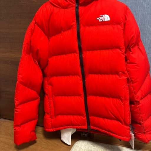 メンズ north face