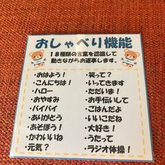おしゃべりくまのそらちゃんの画像
