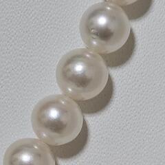 花珠　パールの画像