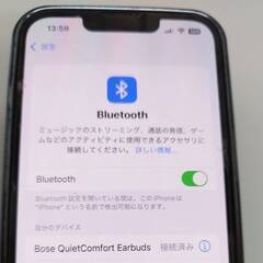 【美品】BOSE QuietComfort EarBuds/318R/318L/442318/ワイヤレスイヤホンの画像