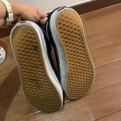 バンズスニーカーの画像