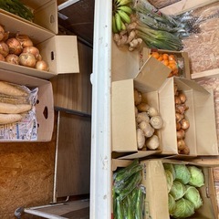 野菜　売ります！読谷村波平
の画像
