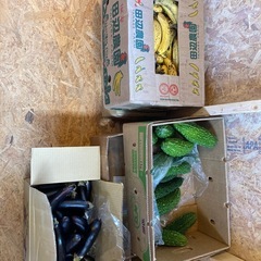 野菜　売ります！読谷村波平
の画像