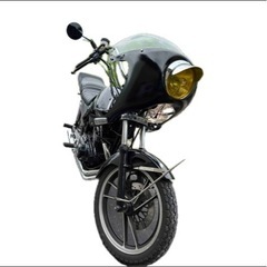 gsx250eゴキ
の画像