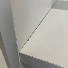 カラーボックス① ホワイト
の画像