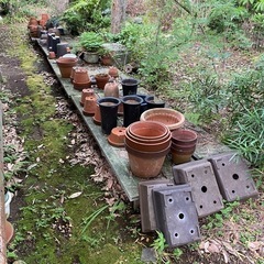 植木鉢の画像