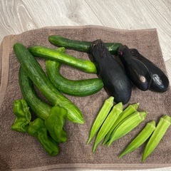 問い合わせあり　約7キロ　西瓜の画像