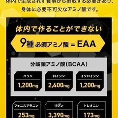 アミノガッツEAAパウダー　マンゴー風味の画像