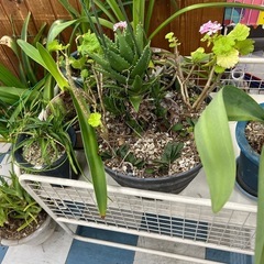 こんなものもあります