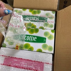 箱ティッシュ 4個セットの画像