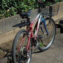 Jリーグ発足記念自転車　1993年　鹿島アントラーズの画像