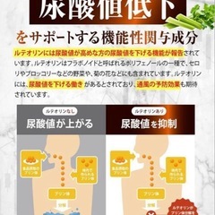 カロバーン尿酸値α 30日分 尿酸値が高めの方の尿酸値を下げる ルテオリン　尿酸の画像