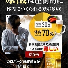 カロバーン尿酸値α 30日分 尿酸値が高めの方の尿酸値を下げる ルテオリン　尿酸の画像