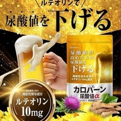 カロバーン尿酸値α 30日分 尿酸値が高めの方の尿酸値を下げる ルテオリン　尿酸の画像