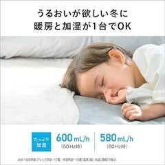 パナソニック セラミックファンヒーター 加湿機能付 ひとセンサー付 ナノイー搭載 ブラック DS-FKX1205-Kの画像