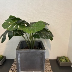 造花の観葉植物の画像