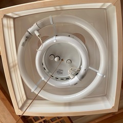 電気の画像